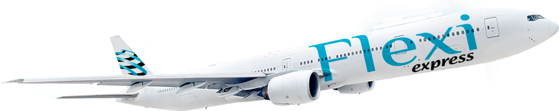 Carga-Aerea-Chile-Mundo-Envio-Aereo-Courrier.png